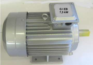 GIEB Elektromotor 7,5 kW 400/690V B3 2-polig 2930 U/min IP55 S1 Betrieb IE3